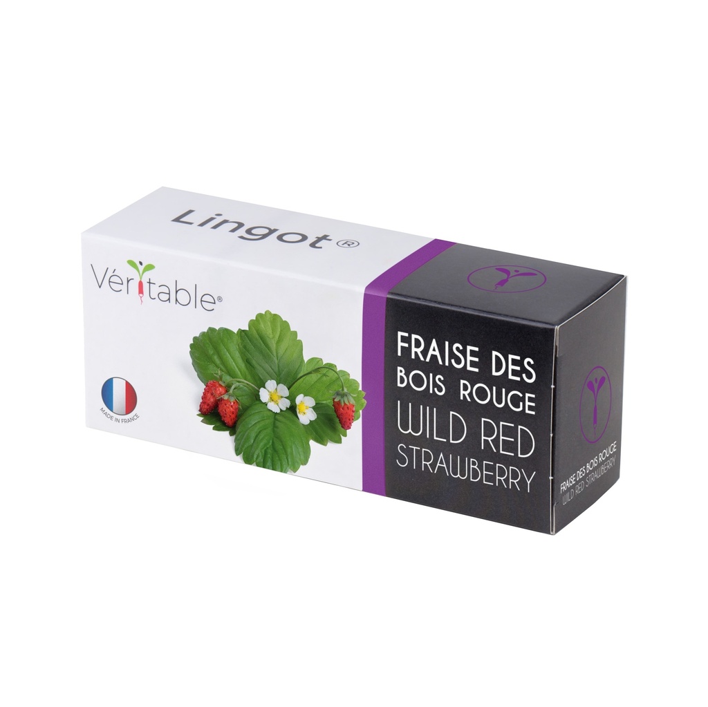 Lingot® Fraise Rouge des Bois