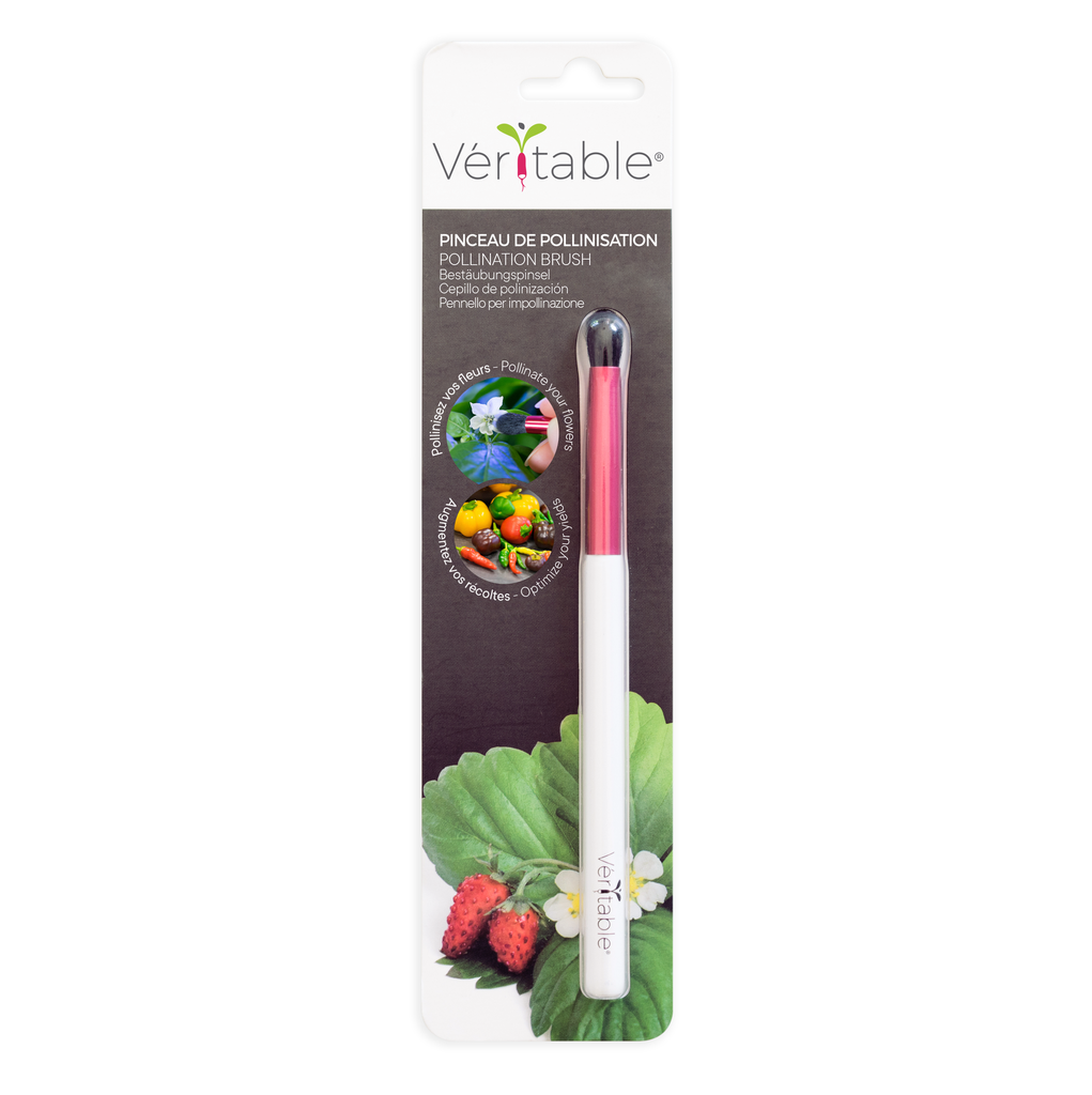  Véritable® Pollenization Brush