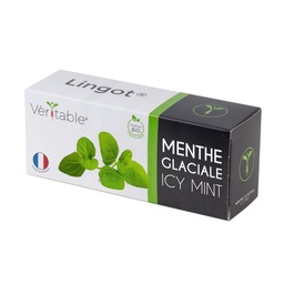 [VLIN-A10-Men04B] Lingot® Icy Mint - Orgânico