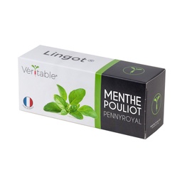 [VLIN-A10-Men04A] Menthe pouliot Lingot®