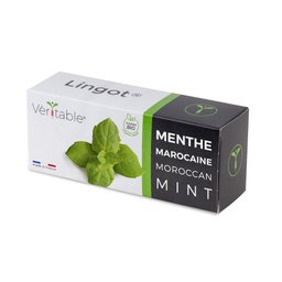[VLIN-A10-Men056] Lingot® Menthe Marocaine - Bio