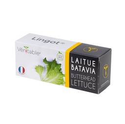 [VLIN-L5-Lai01B] Laitue pommée Lingot® - Biologique