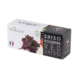 [VLIN-S5-Shi033] Lingot® Morado Shiso - Orgánico
