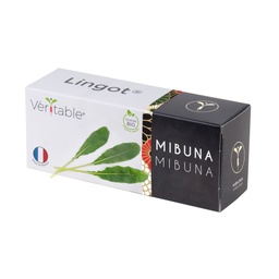 [VLIN-S10-Mib034] Lingot® Mibuna - Bio