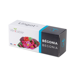 [VLIN-F5-Beg05B] Lingot® Begônia