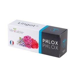 [VLIN-F5-Phl04C] Phlox de Lingot®