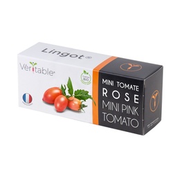 [VLIN-L5-Tom052] Lingot® Pink Mini-Tomato 